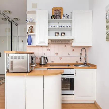 Apartment One Bedroom With Balcony In By Renters Poznan